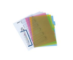 Bìa phân trang nhựa