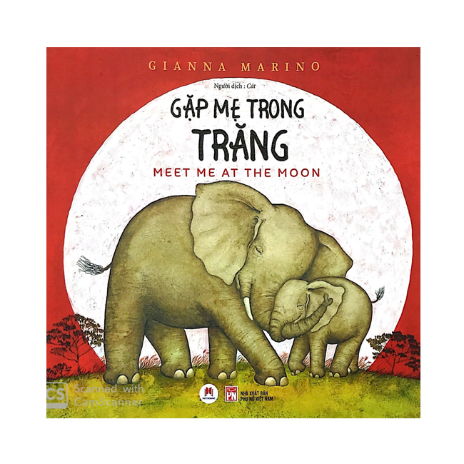 Gặp mẹ trong trăng